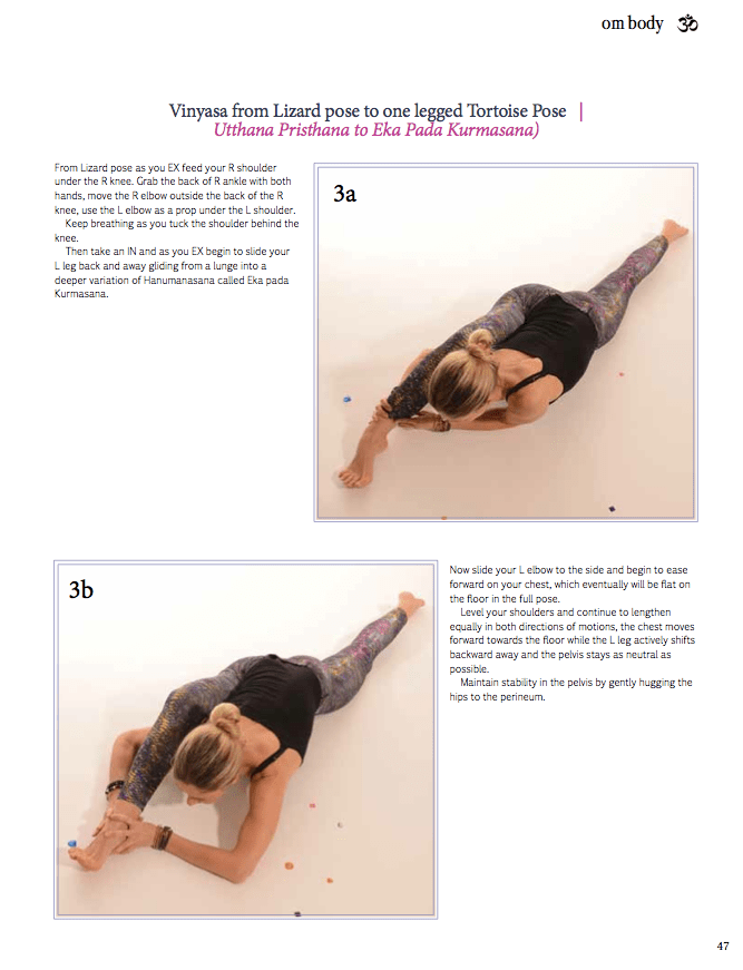 Vinyasa from Lizard pose to one legged tortoise pose
